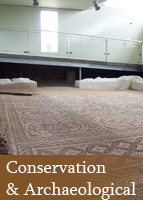 Conservation and Archaeological